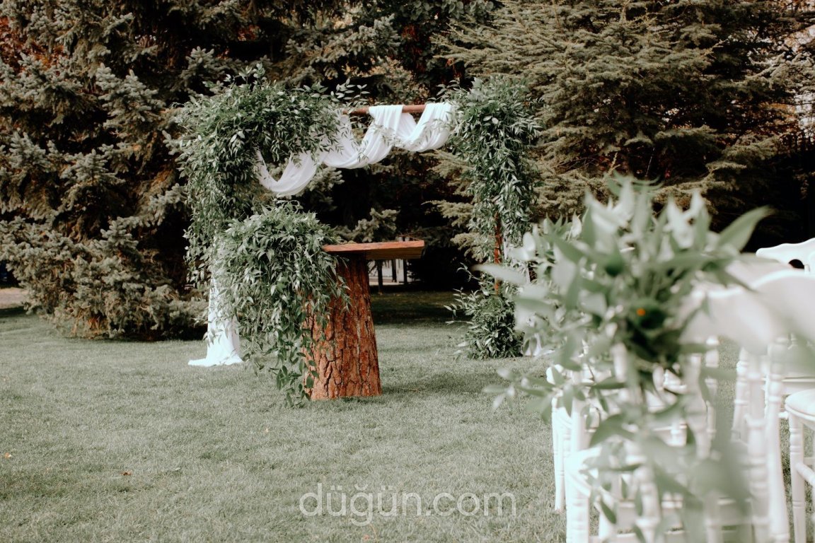 Bellissima Organizasyon