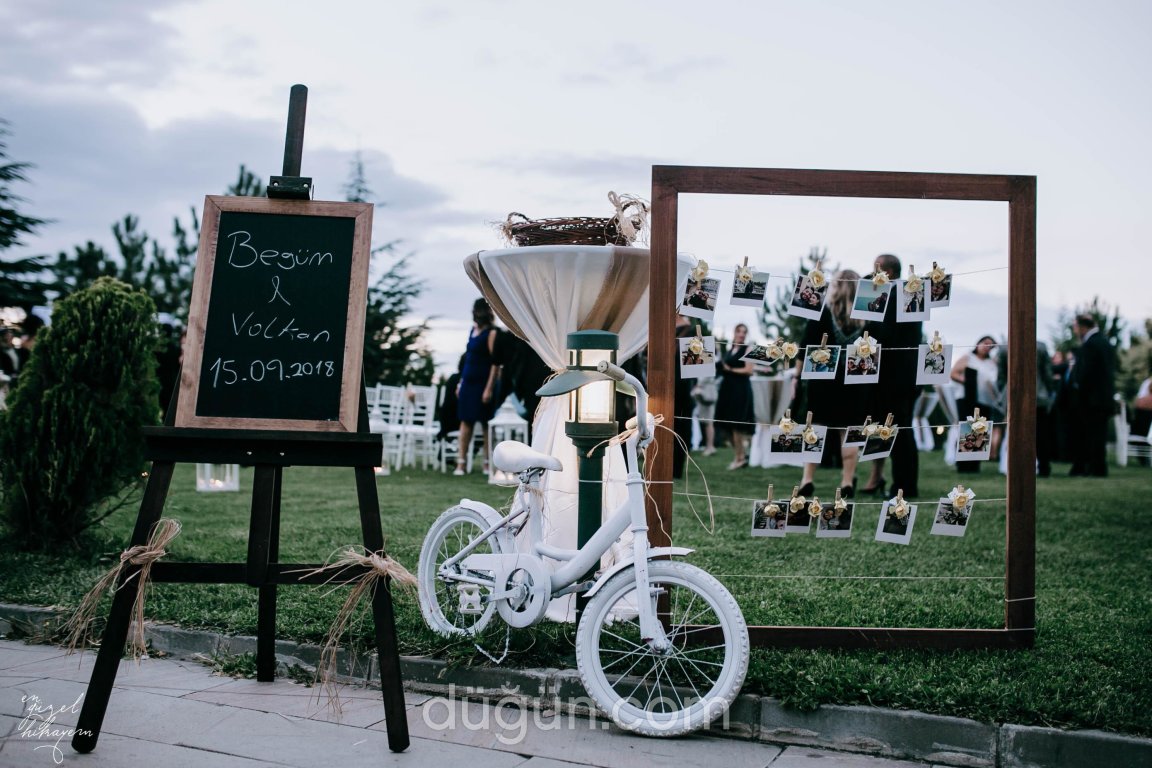 Bellissima Organizasyon