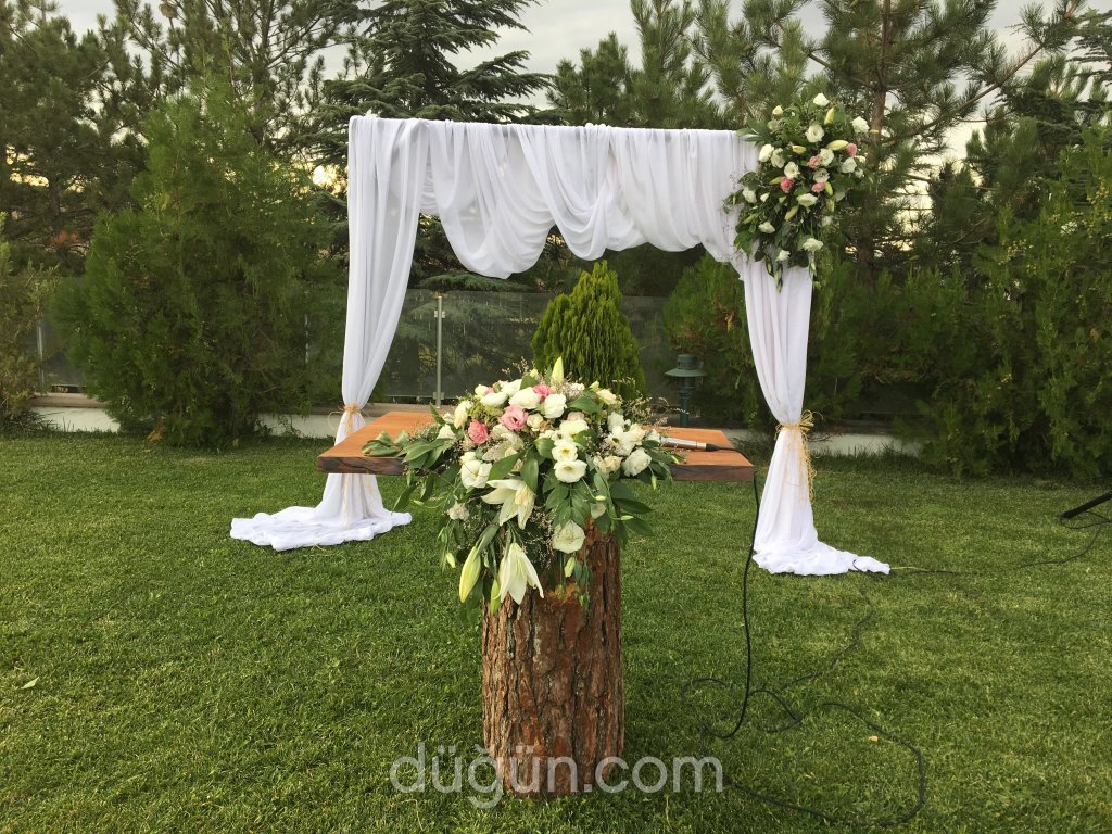 Bellissima Organizasyon