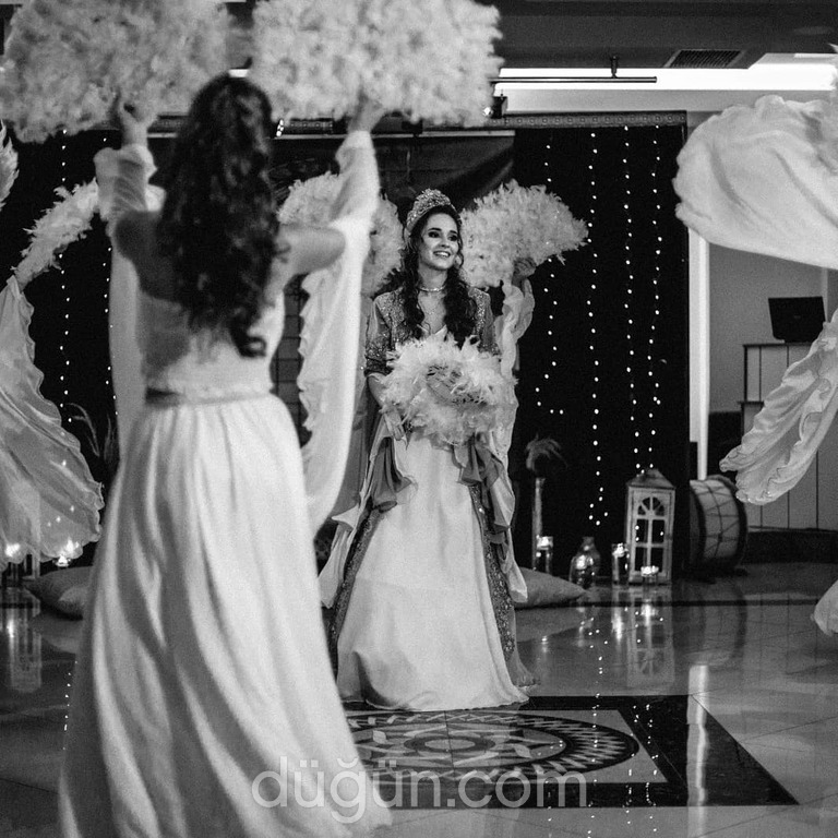 T&T Marpesia Concept