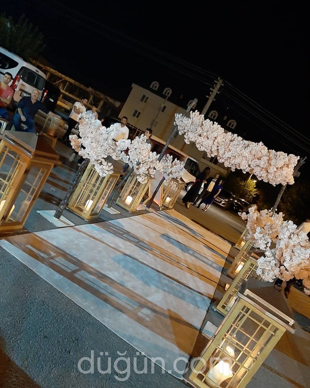 My Life Organizasyon