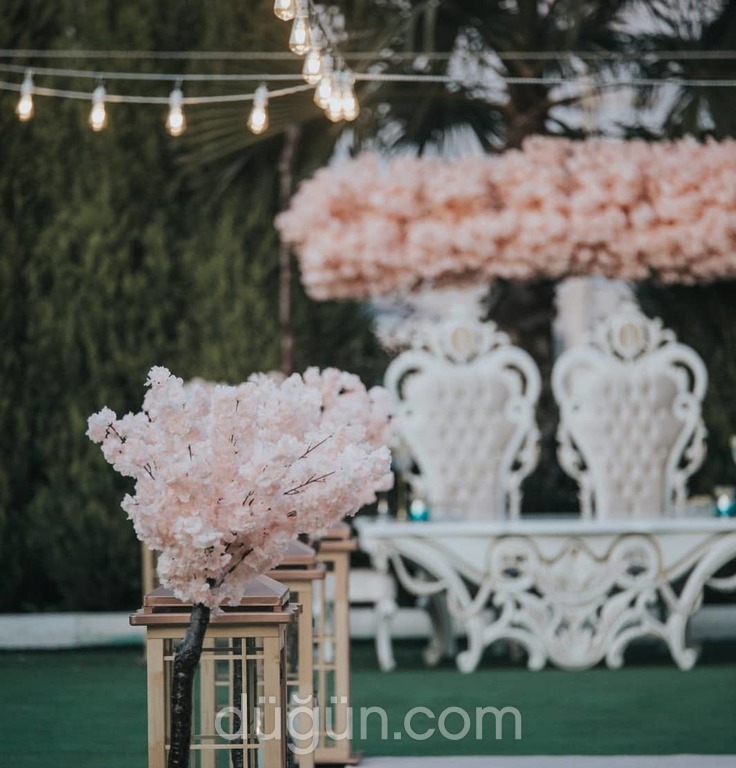 My Life Organizasyon