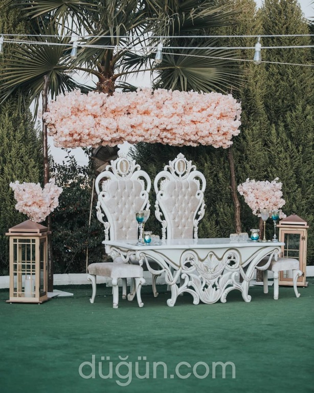 My Life Organizasyon