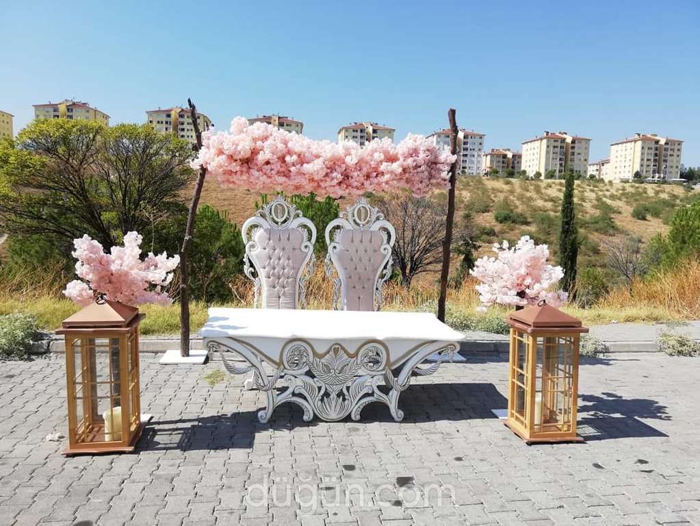 My Life Organizasyon