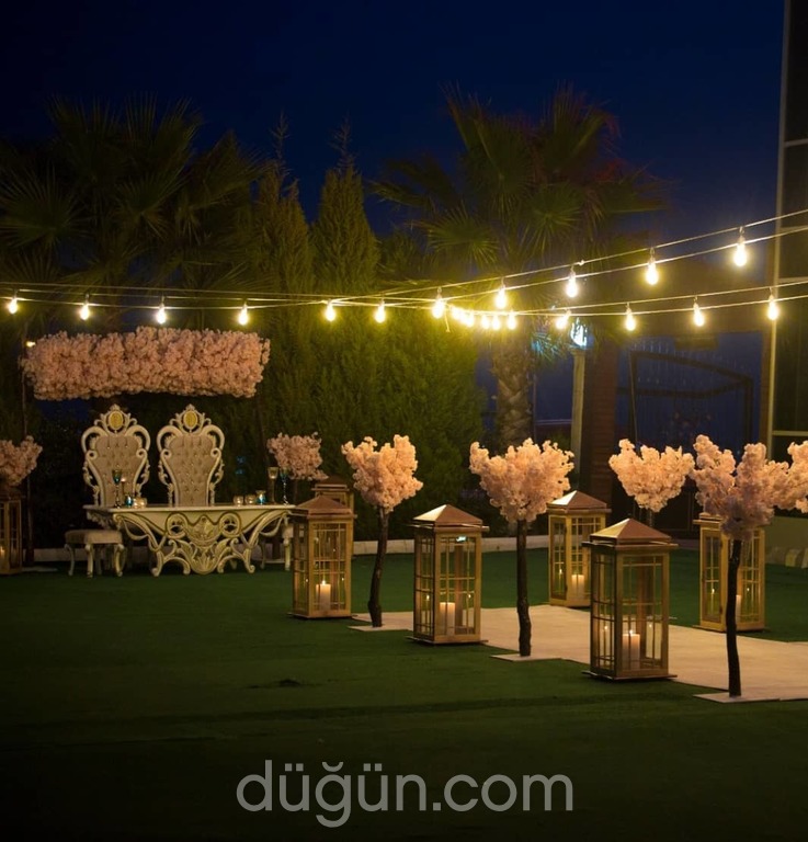 My Life Organizasyon