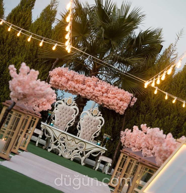 My Life Organizasyon