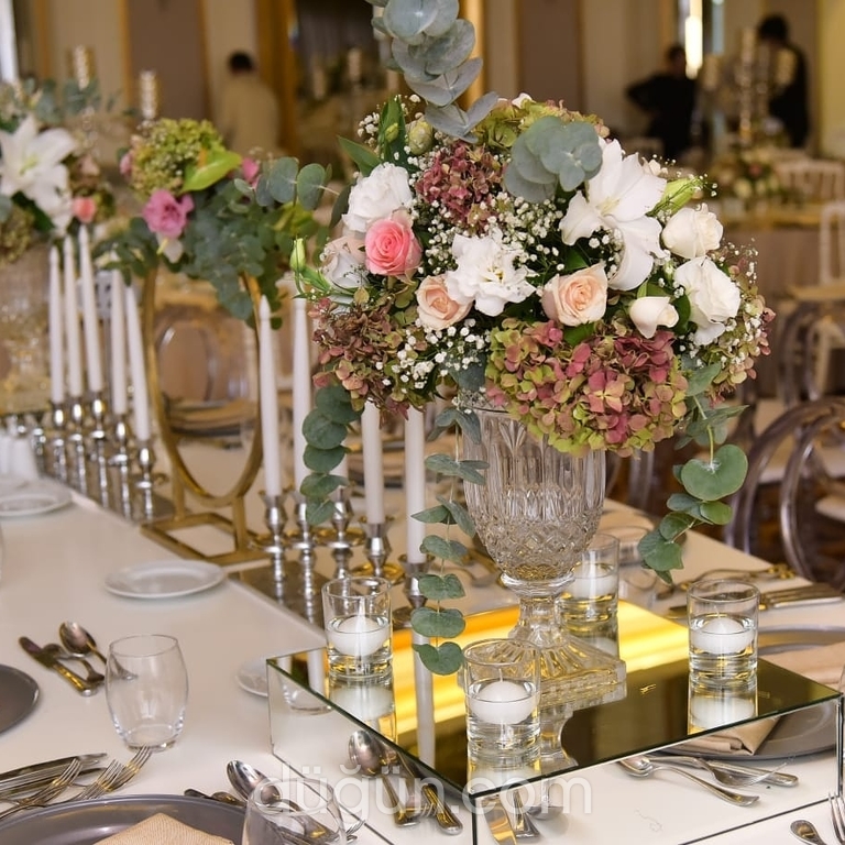 Bursa Organizasyon Wolimte