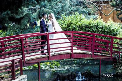 Yeditepe Hayat Fotoğrafçılık