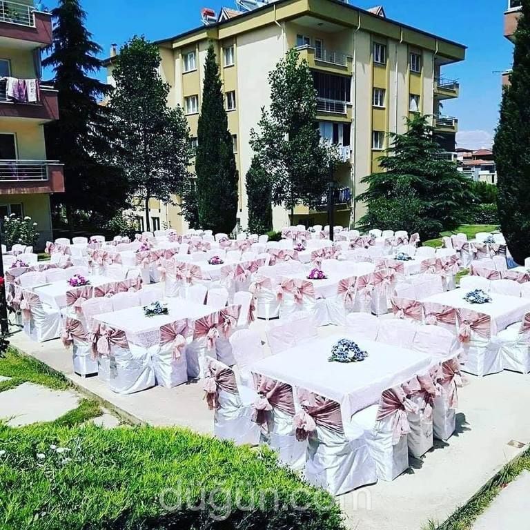 Mumcular Organizasyon