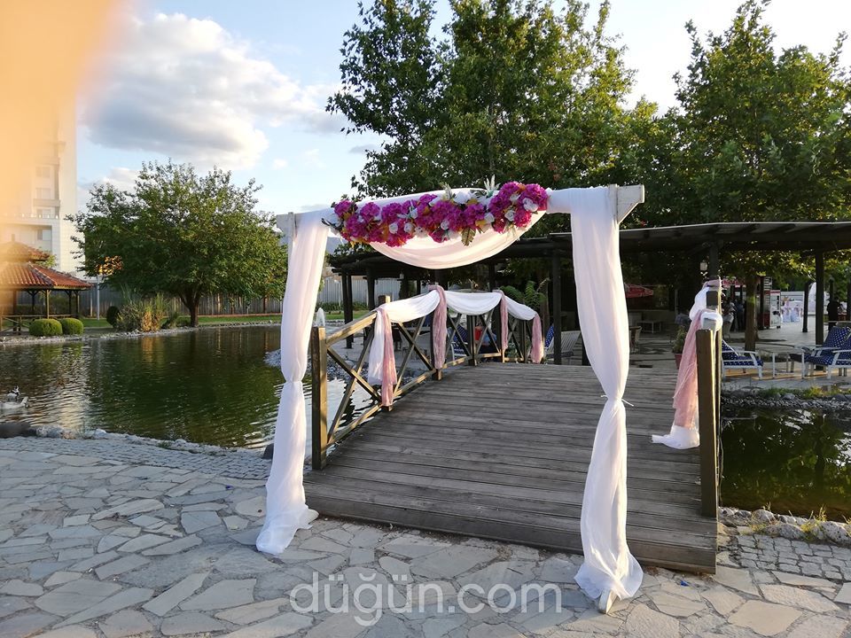 Mumcular Organizasyon