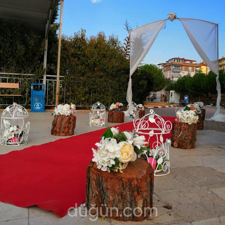 Organizasyon Vitrini