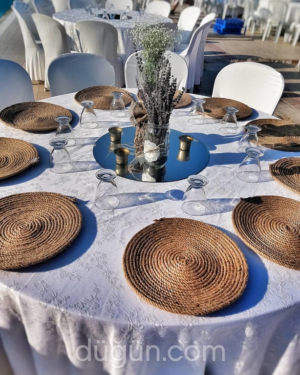 S-rat Professional Editions