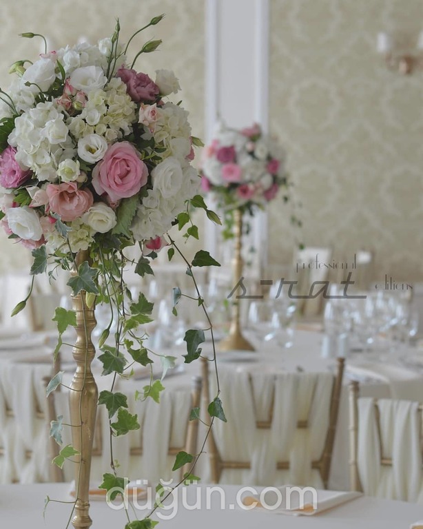 S-rat Professional Editions