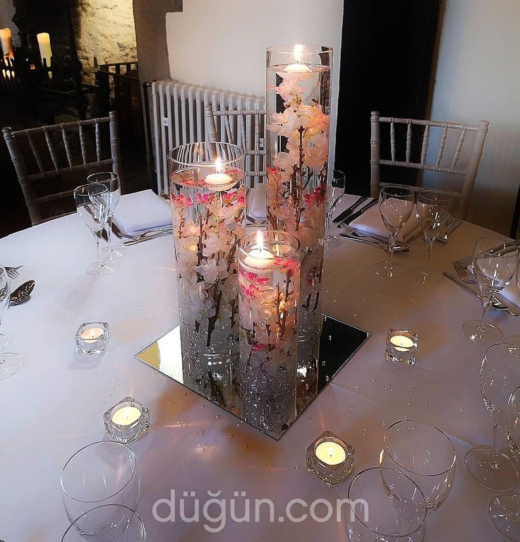 S-rat Professional Editions