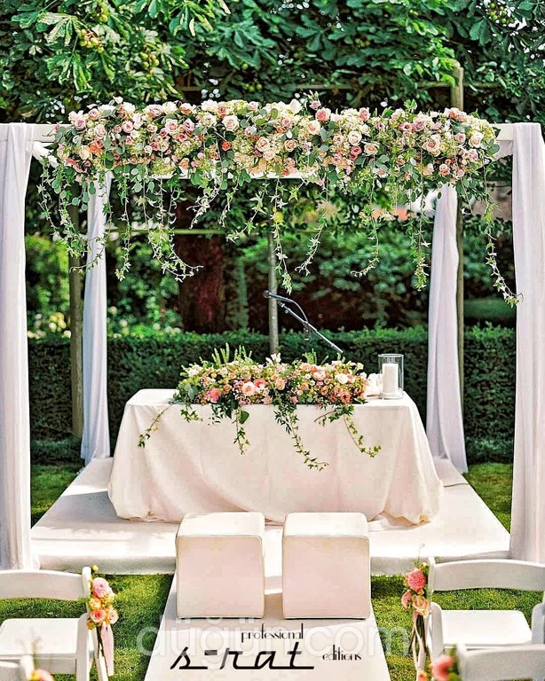 S-rat Professional Editions