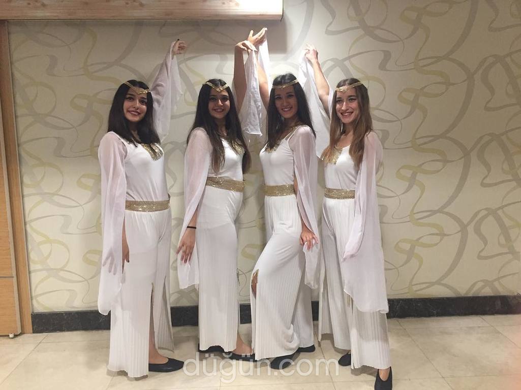 Koza Dans Organizasyon