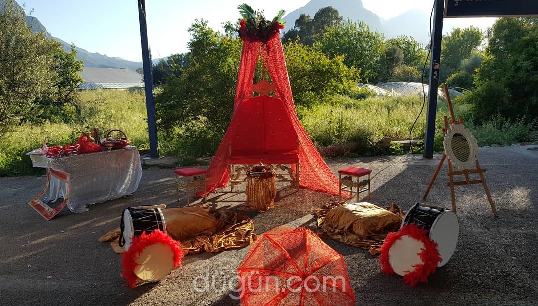 Olimpos Organizasyon
