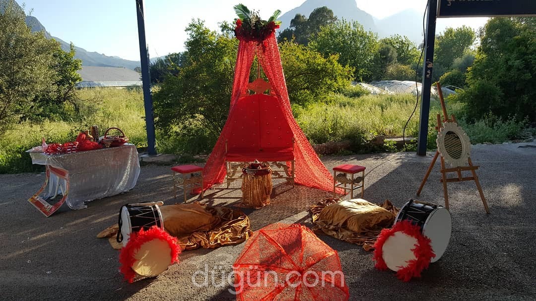 Olimpos Organizasyon