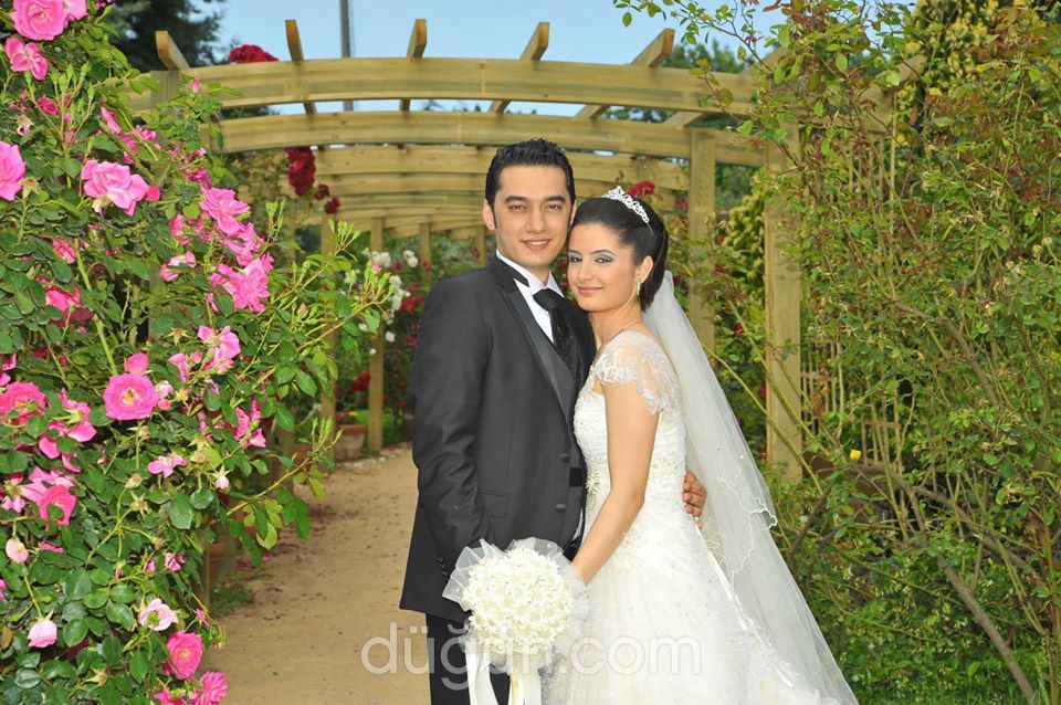 Likya Görsel Sanat Tasarım