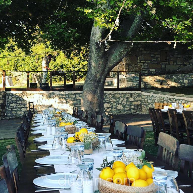 Limon Düğün Konsepti