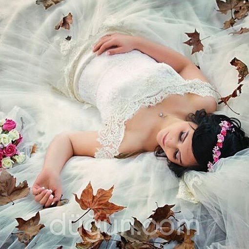 Şule Kuaför & Gelinlik