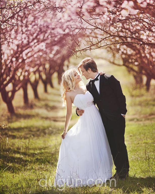 Bilginler Fotoğrafçılık