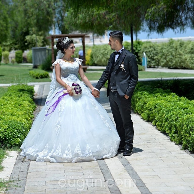 Seydi Fotoğrafçılık