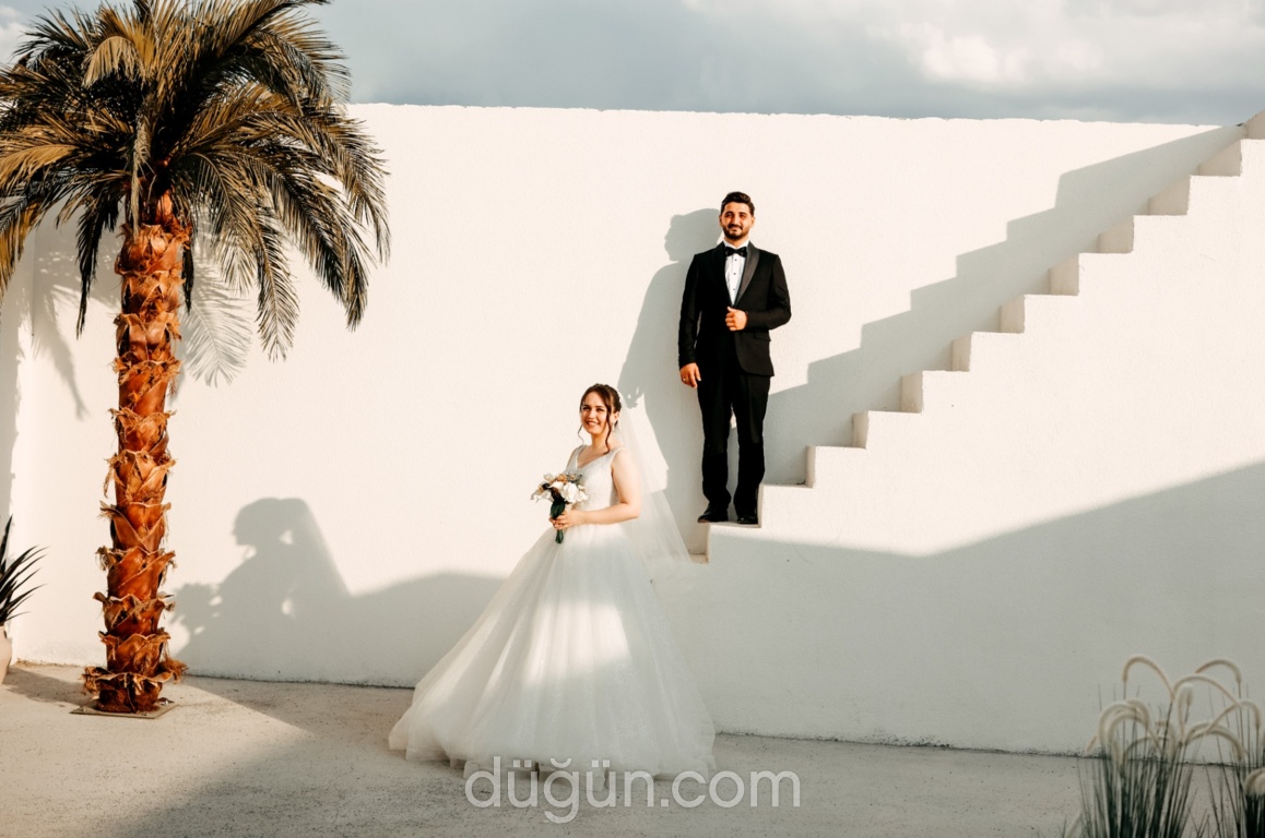 Mimoza Fotoğrafçılık