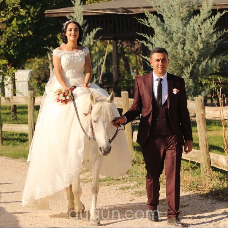 233 Medya Photography