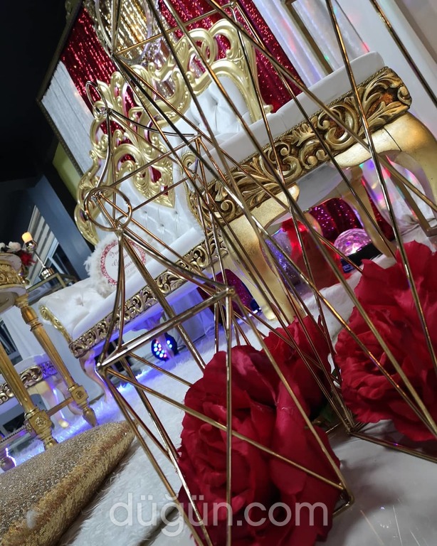 Day & Night Organizasyon