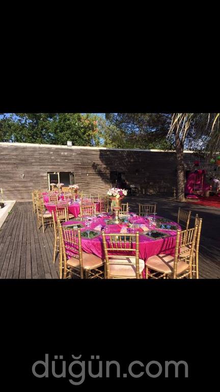 Dila Organizasyon & Tasarım