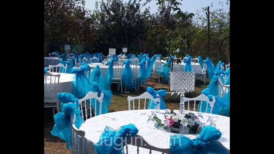 Dila Organizasyon & Tasarım