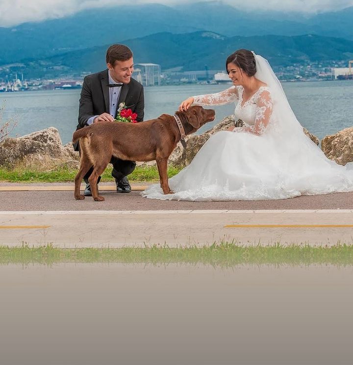 Foto Özgür