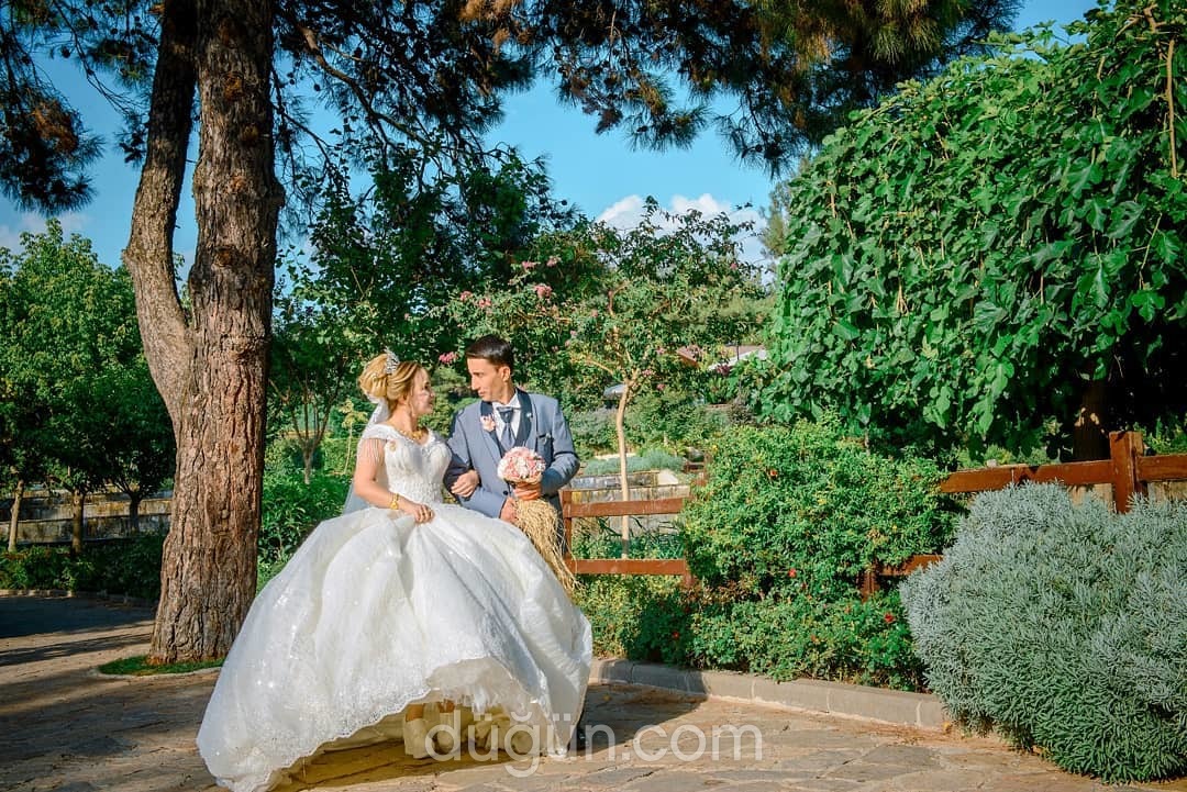 Ekol Fotoğrafçılık