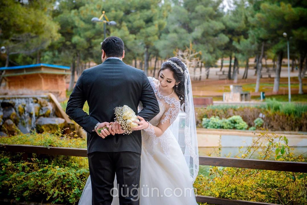 Ekol Fotoğrafçılık