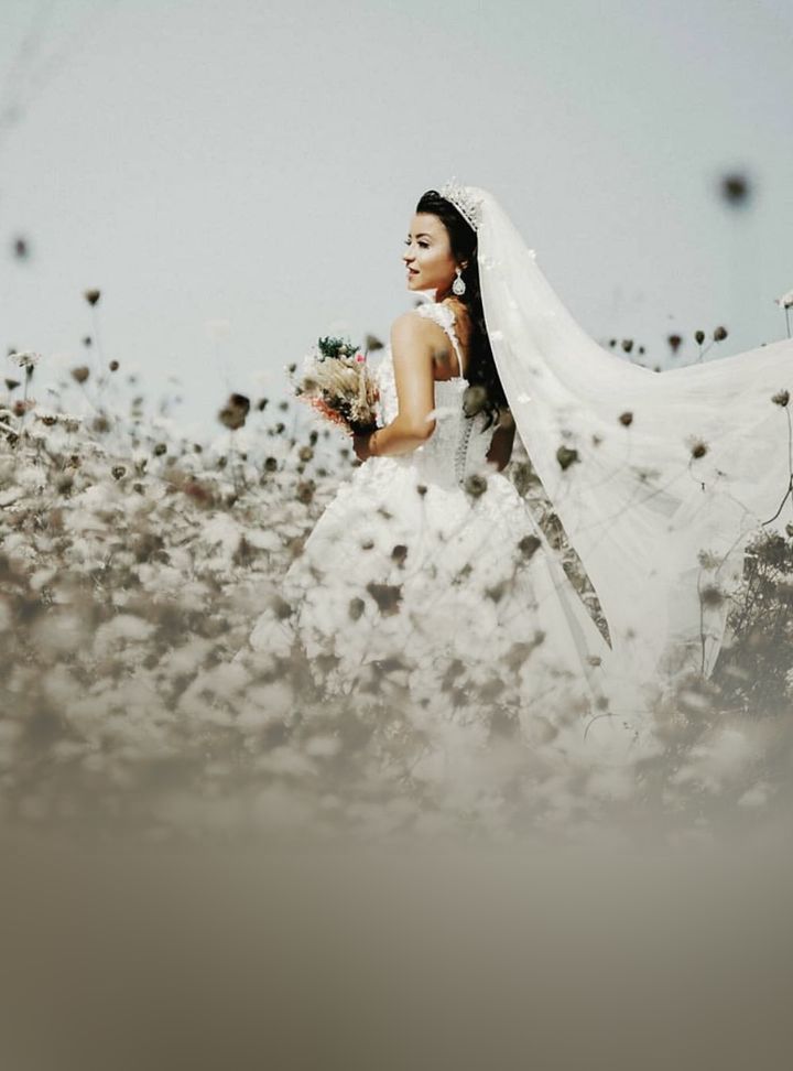 Novia Wedding