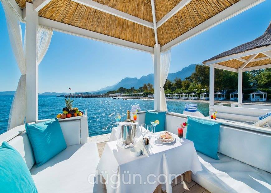 Avangarte Luxury Resort