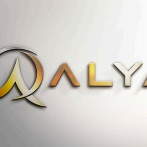Alya Organizasyon