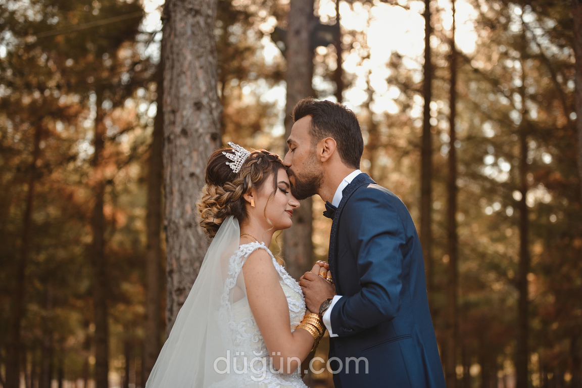 Aves Fotoğrafçılık