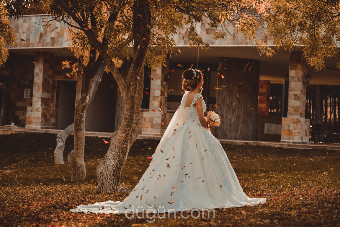 Aves Fotoğrafçılık