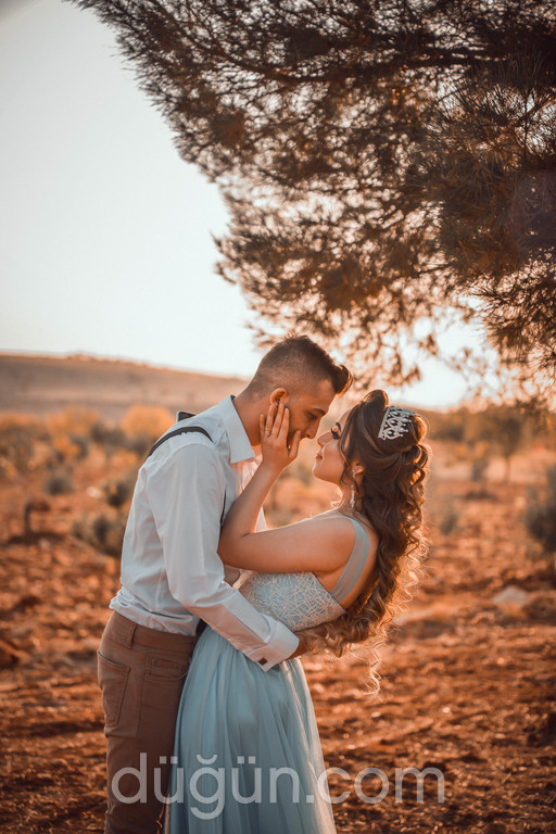 Aves Fotoğrafçılık