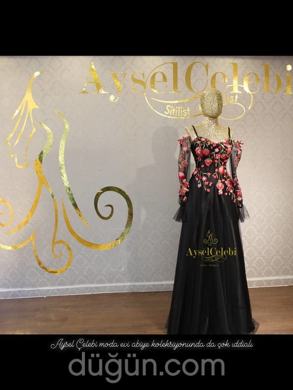 Aysel Çelebi Modaevi