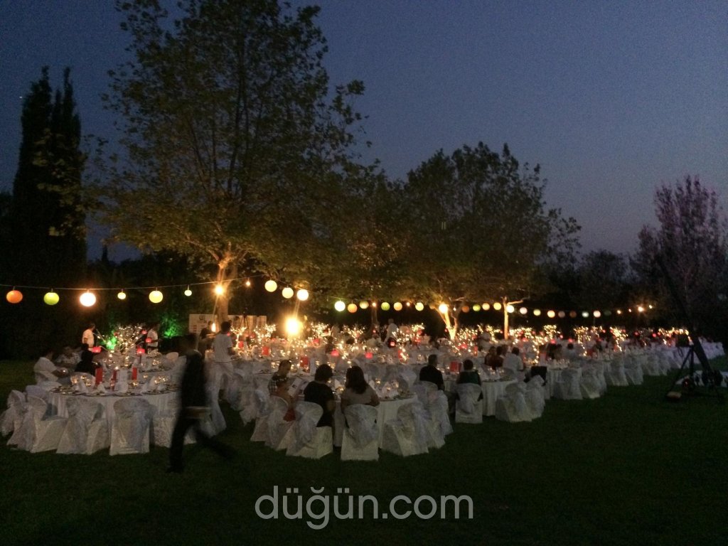 TEK Organizasyon ve Danışmanlık