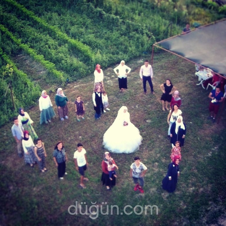 TEK Organizasyon ve Danışmanlık