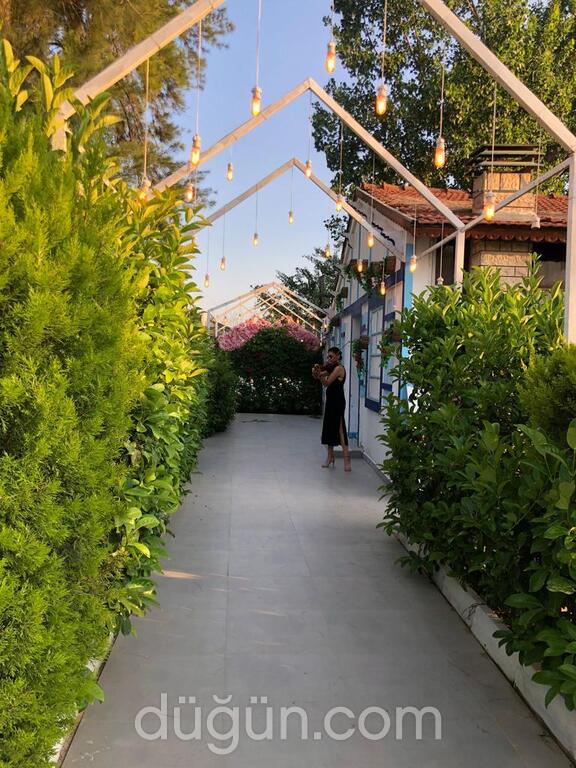 Alyans Deluxe Garden