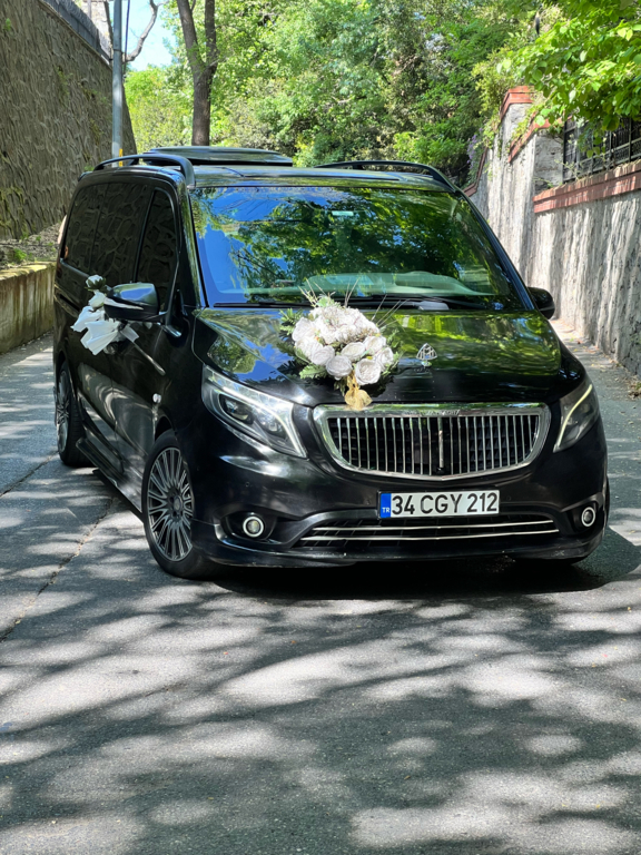 S-Line Vip Luxury