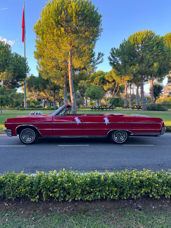S-Line Vip Luxury - 2409519
