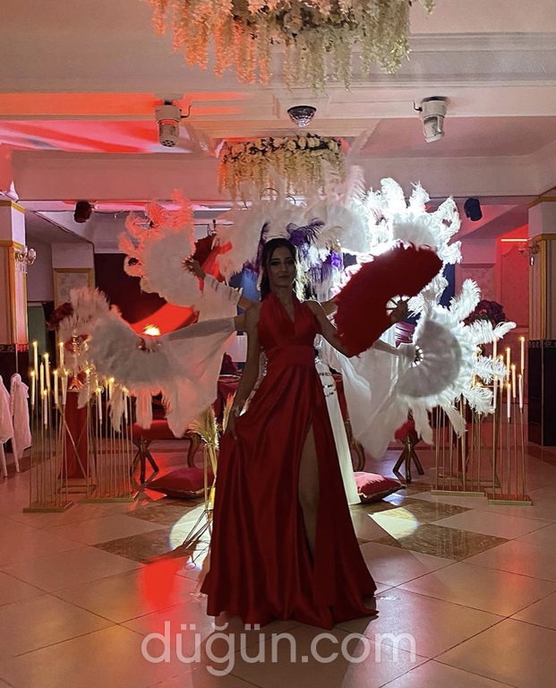 Vision Kına Organizasyon