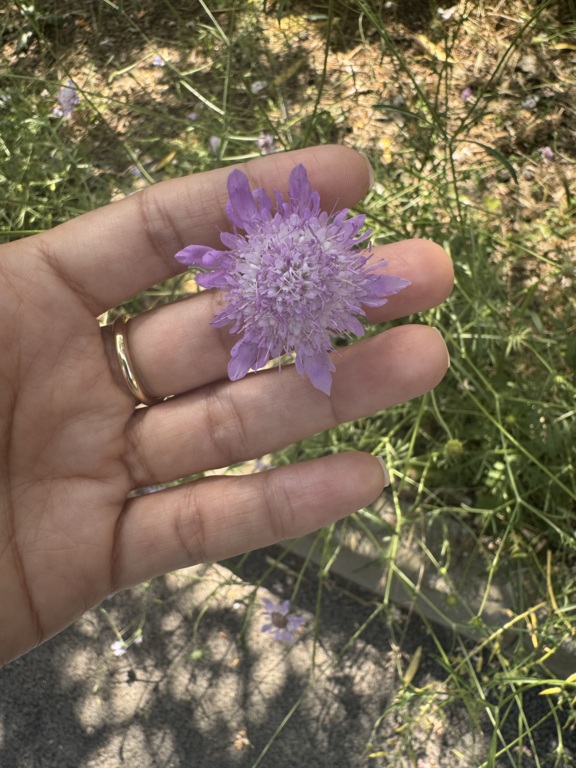 Make Up Yıldız Sharipova