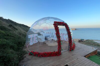 Etkili Yatçılık Organizasyon